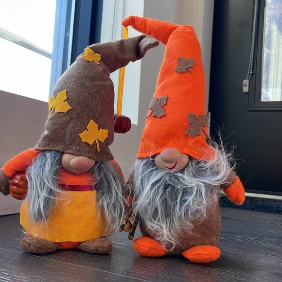 Fall gnomes 🎃 - Picture 4 of 4